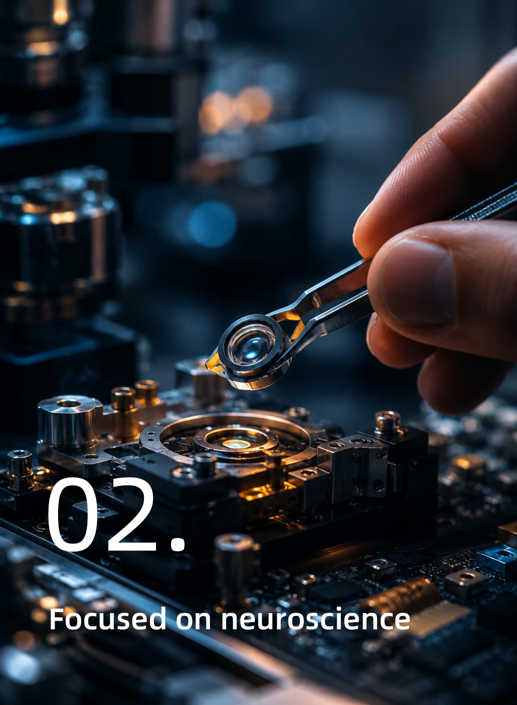02. Focused on neuroscience